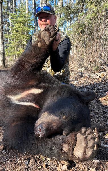 Manitoba Fall Bear 2026