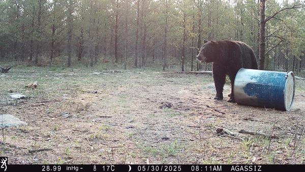 2 Weeks and Counting!!