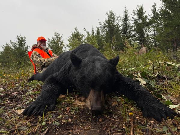2025 Fall Black Bear Season a Huge Success!!