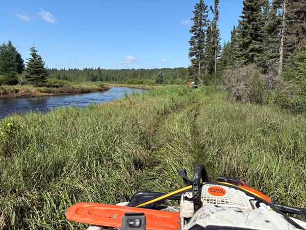 Scouting New Whitetail Area