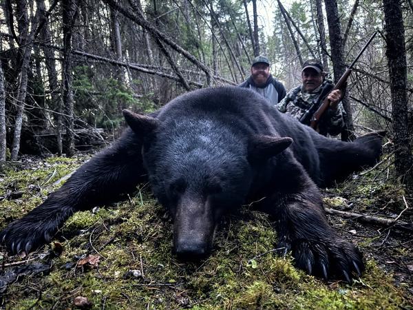 4th Week of our Spring Bear Season Begins!!
