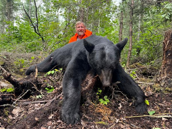 Fall Bear Season off to a Great Start