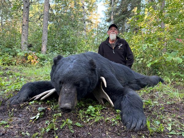 2025 Manitoba Fall Black Bear - Non Stop Action!!