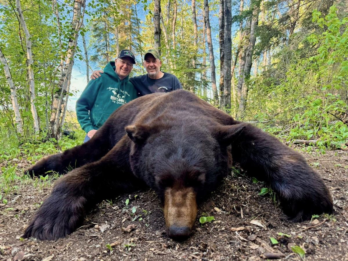 2026 Spring Black Bear Hunting Review