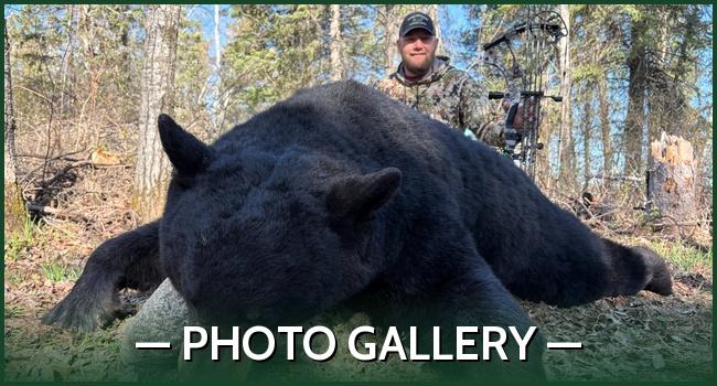 Agassiz Photo Gallery