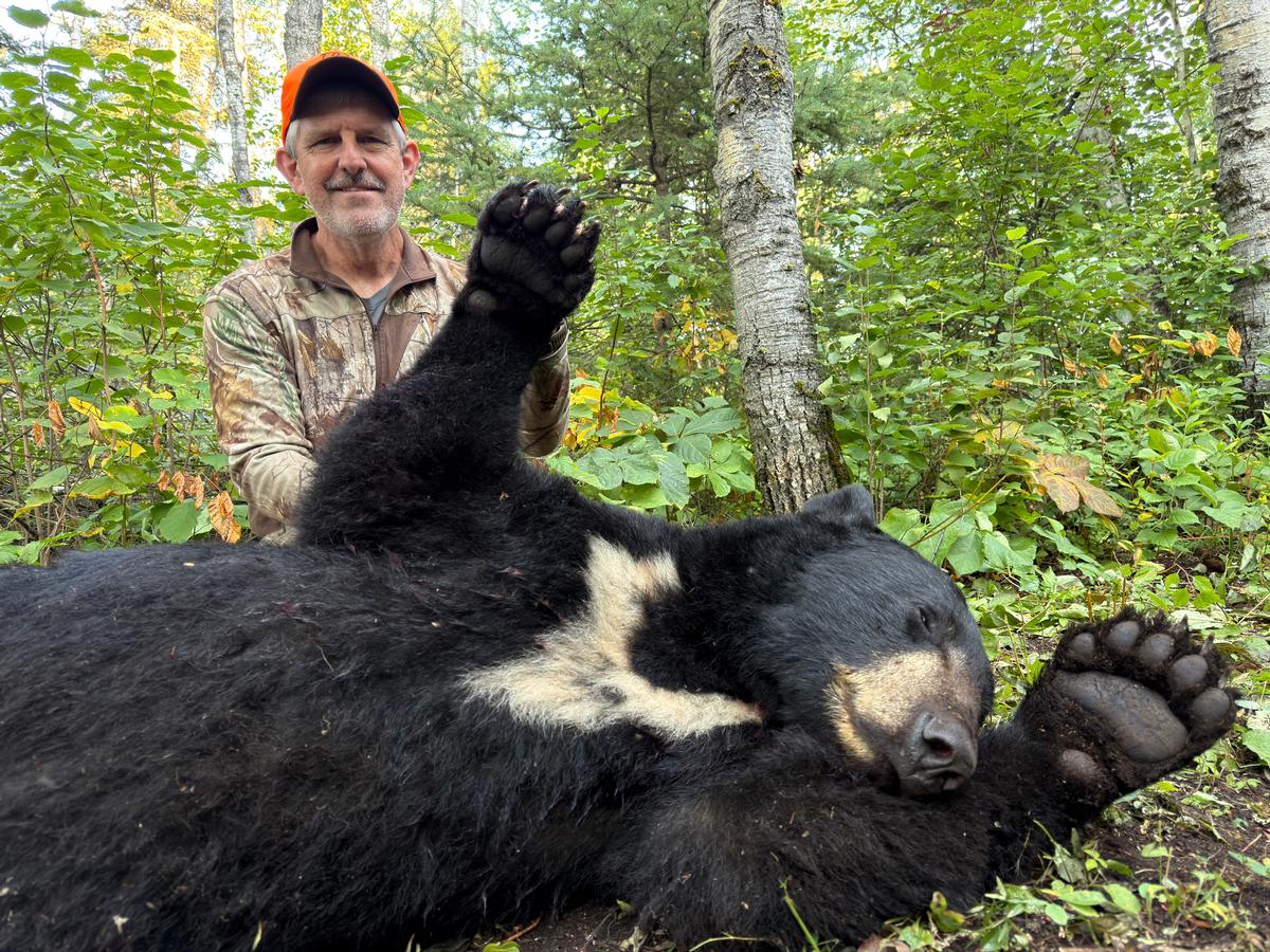 2026 Fall Black Bear Hunting Review