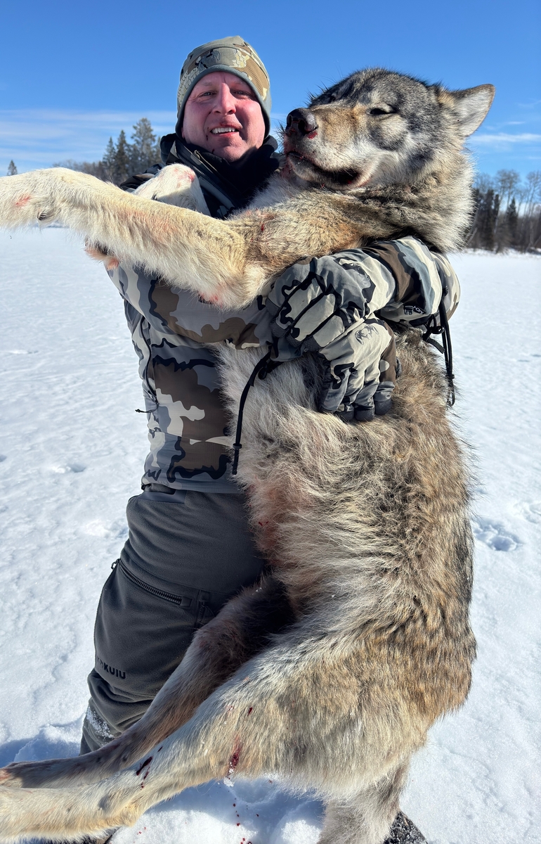 Manitoba Wolf Hunting