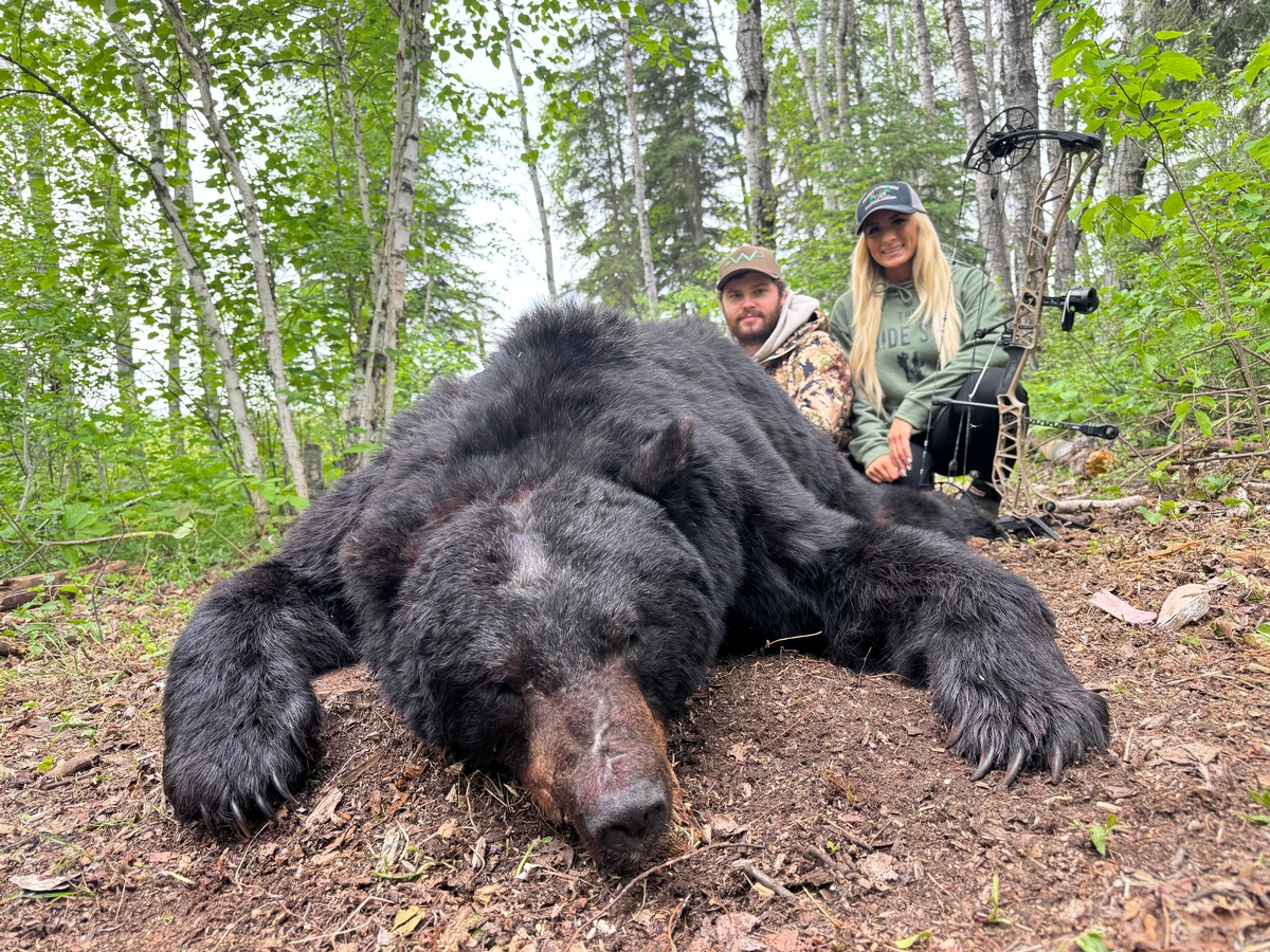 2025 Spring Black Bear Hunting Review