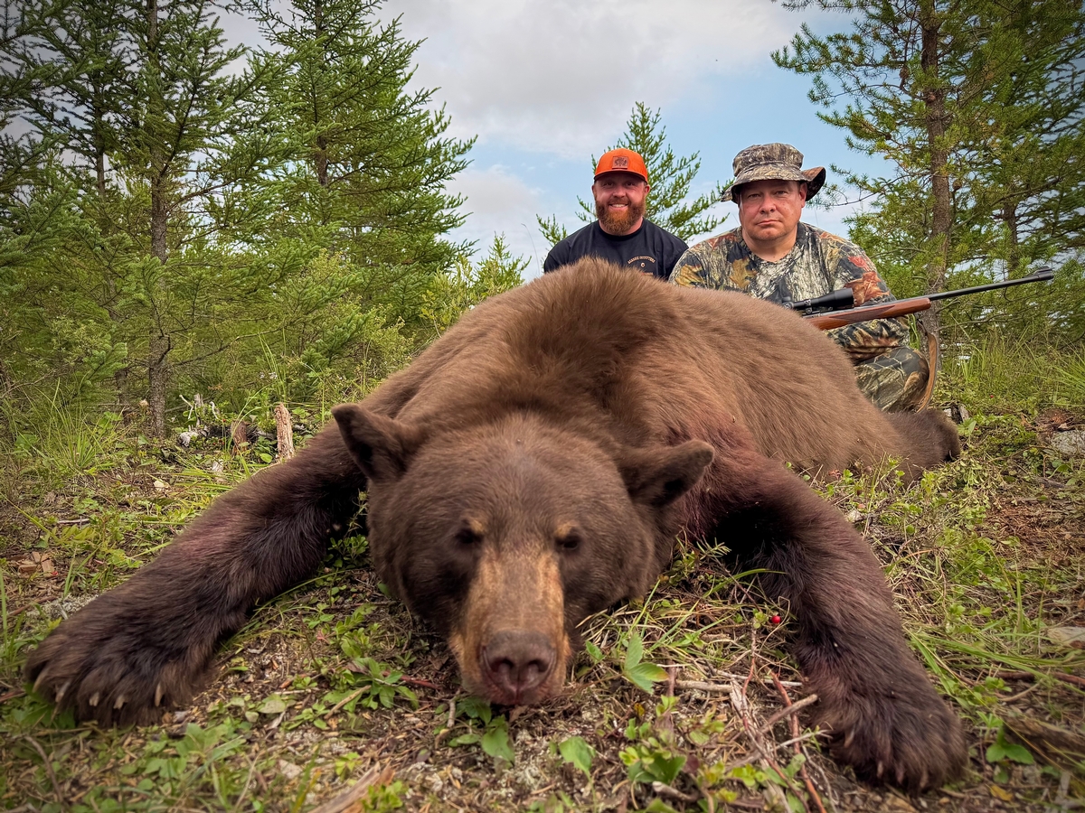 2025 Fall Black Bear Hunting Review 
