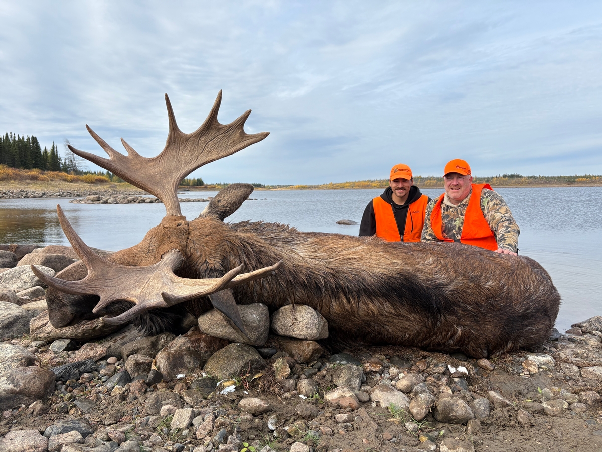 2025 Fall Moose Hunting Review