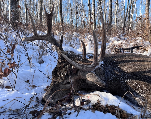 Casey stearns - Minnesota