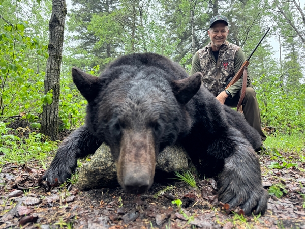 Baxter Swift - Illinois
